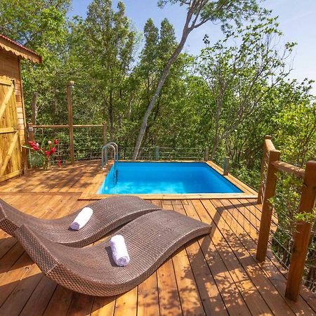 Au Jardin Des Colibris Ecolodge&Spa Deshaies Zewnętrze zdjęcie