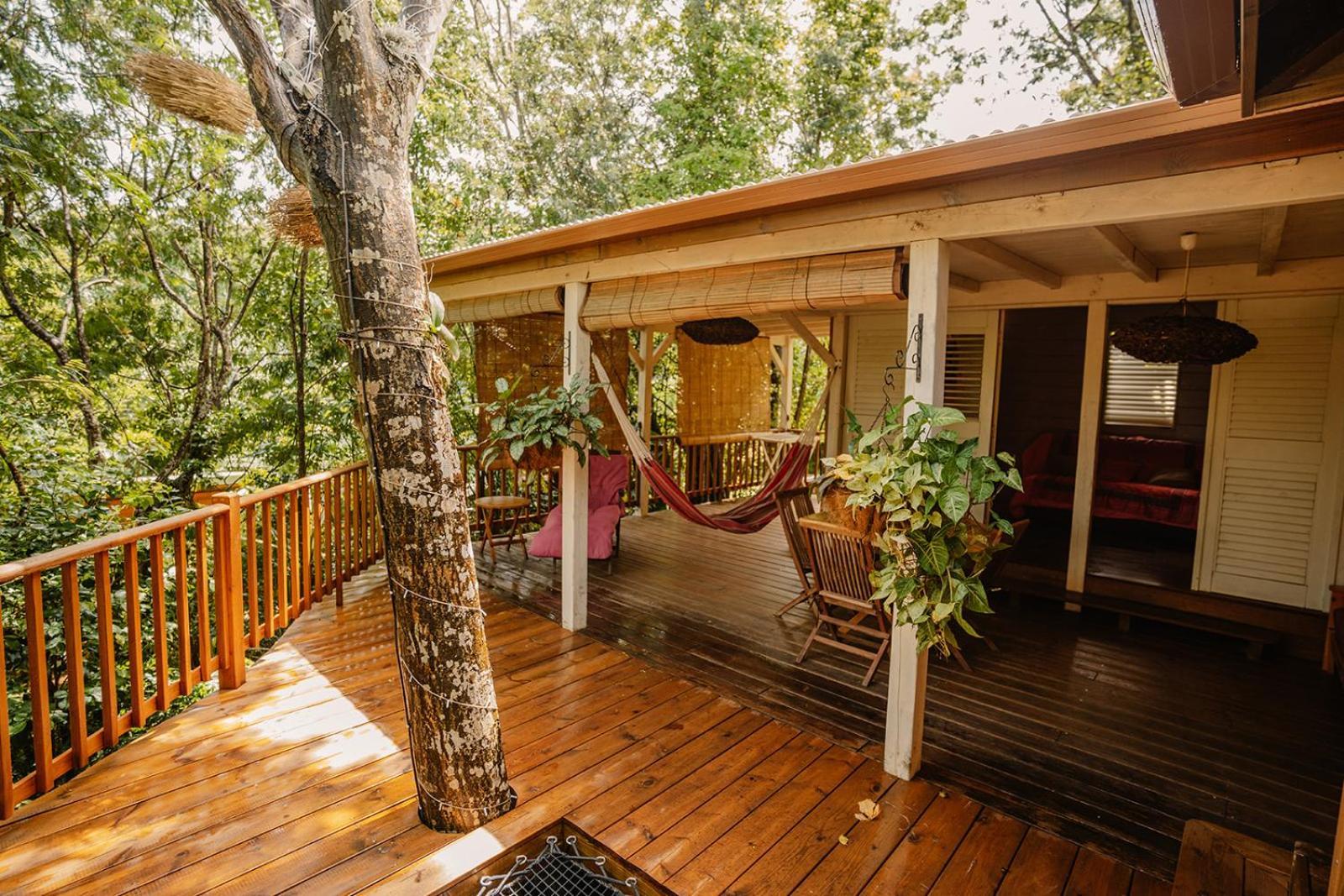 Au Jardin Des Colibris Ecolodge&Spa Deshaies Zewnętrze zdjęcie