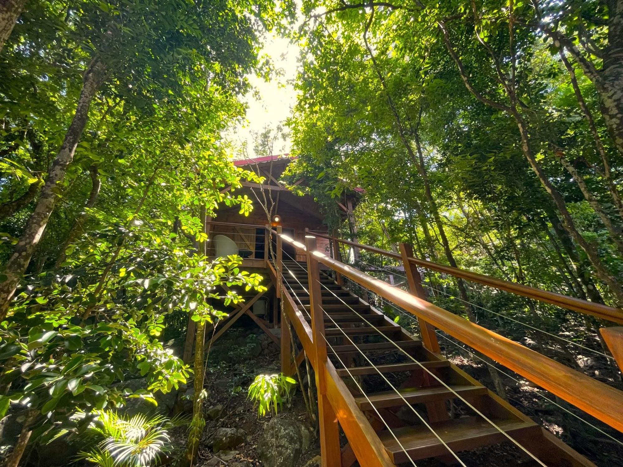 Au Jardin Des Colibris Ecolodge&Spa Deshaies Zewnętrze zdjęcie