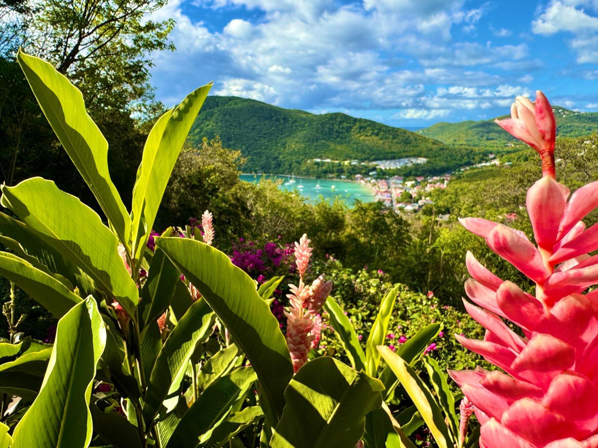 Au Jardin Des Colibris Ecolodge&Spa Deshaies Zewnętrze zdjęcie